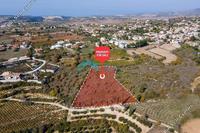 5017 SQM Land in Kathikas (Paphos) for sale 