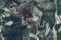 26422 SQM Land in Koili (Paphos) for sale 