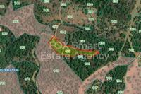 6355 SQM Land in Agios Epifanios Oreinis (Nicosia) for sale 