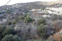 0 SQM Land · Limnatis (Limassol) for sale 