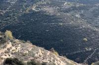 20235 SQM Land · Tsada (Paphos) for sale 
