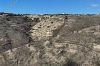 20235 SQM Land in Tsada (Paphos) for sale 