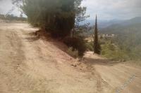 7024 SQM Plot in Kato Platres (Limassol) for sale 