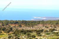 10341 SQM Land in Peyia (Paphos) for sale 