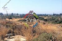 17400 SQM Land · Kalavasos (Larnaca) for sale 