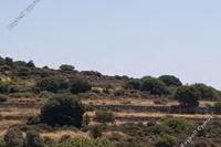 12245 SQM Land in Pachna (Limassol) for sale 