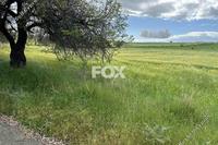5039 SQM Land in Anarita (Paphos) for sale 