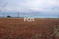 4014 SQM Land in Agios Theodoros Larnacas (Larnaca) for sale 