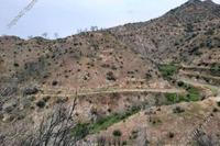 7024 SQM Land · Odou (Larnaca) for sale 