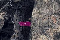 15337 SQM Land in Pachna (Limassol) for sale 