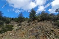 2816 SQM Land · Palaichori Morfou (Nicosia) for sale 