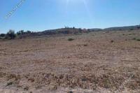 2676 SQM Land in Athienou (Larnaca) for sale 