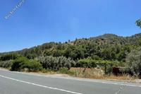 16390 SQM Land · Palaichori Oreinis (Nicosia) for sale 