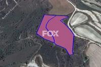 8362 SQM Land in Tsada (Paphos) for sale 