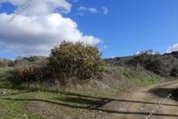 28763 SQM Land · Meladia (Paphos) for sale 