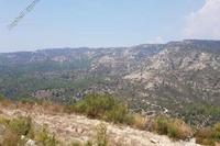 53513 SQM Land · Dora (Limassol) for sale 
