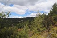 5686 SQM Land · Pelendri (Limassol) for sale 