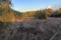 5686 SQM Land in Analiontas (Nicosia) for sale 