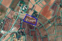 4608 SQM Land in Agioi Trimithias (Nicosia) for sale 