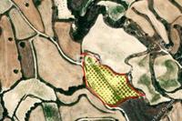 9700 SQM Land in Letymvou (Paphos) for sale 
