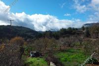 1004 SQM Land in Kyperounta (Limassol) for sale 