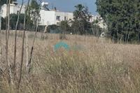 4451 SQM Land · Potamos Liopetriou (Famagusta) for sale 