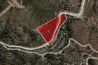7358 SQM Land in Ora (Larnaca) for sale 