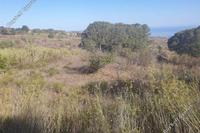 3679 SQM Land · Drousia (Paphos) for sale 