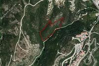 19064 SQM Land in Tsada (Paphos) for sale 