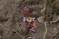 10703 SQM Land in Lasa (Paphos) for sale 
