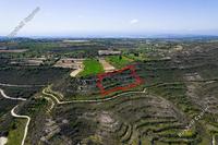 8504 SQM Plot in Pachna (Limassol) for sale 