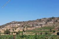 22074 SQM Land · Pachna (Limassol) for sale 