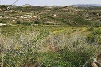 5352 SQM Land in Pachna (Limassol) for sale 