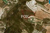 9365 SQM Land · Armou (Paphos) for sale 