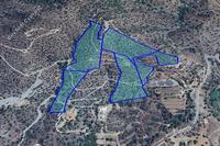 112526 SQM Land in Foinikaria (Limassol) for sale 