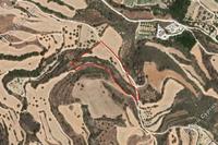 13713 SQM Land in Skoulli (Paphos) for sale 