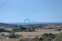 5352 SQM Land · Maroni (Larnaca) for sale 
