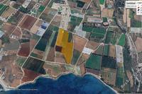 73726 SQM Land in Mandria Pafou (Paphos) for sale 