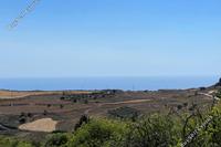 7500 SQM Land in Ineia (Paphos) for sale 