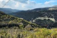 8027 SQM Land · Dora (Limassol) for sale 