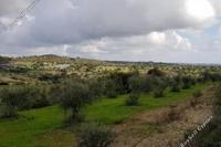 24750 SQM Land · Anogyra (Limassol) for sale 