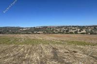 24750 SQM Land in Anogyra (Limassol) for sale 