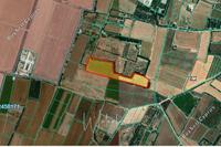 15497 SQM Land in Timi (Paphos) for sale 