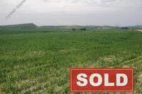 12124 SQM Land in Petrofani (Larnaca) for sale 