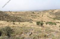 20174 SQM Land in Episkopi Pafou (Paphos) for sale 