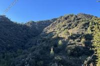5352 SQM Land in Palaichori Morfou (Nicosia) for sale 