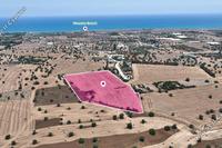 29767 SQM Land · Mazotos (Larnaca) for sale 