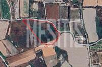 12562 SQM Land in Akrotiri (Limassol) for sale 