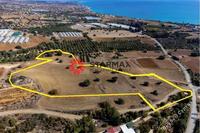 16389 SQM Plot in Agios Theodoros Larnacas (Larnaca) for sale 