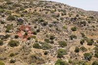 18730 SQM Land in Pissouri (Limassol) for sale 